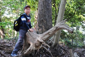 高尾山にカンガルー発見