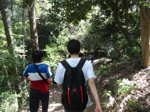 山の清浄な空気に癒やされます。