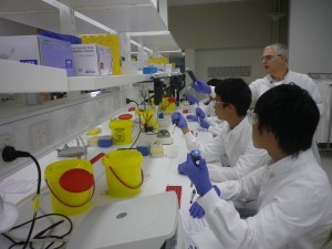 TRIで遺伝子工学の実験