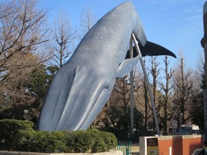 IMG_3456