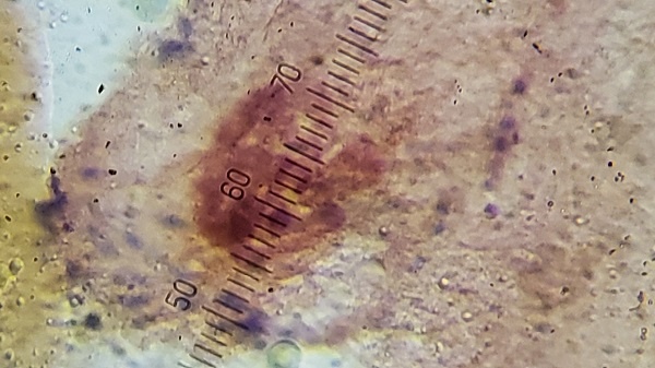 20190626_10