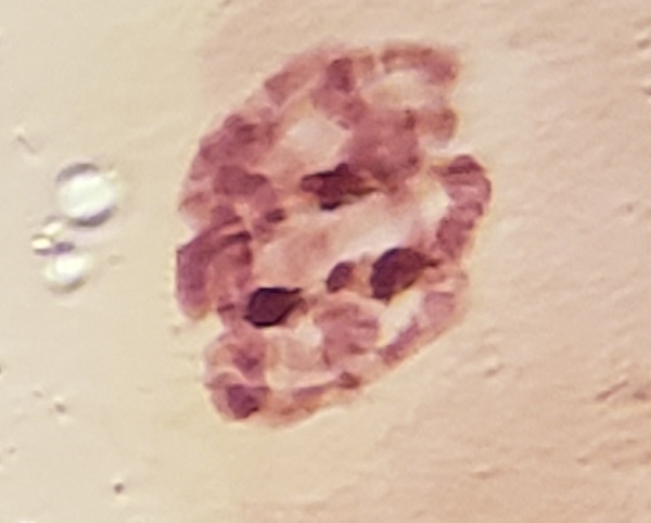 20190626_15