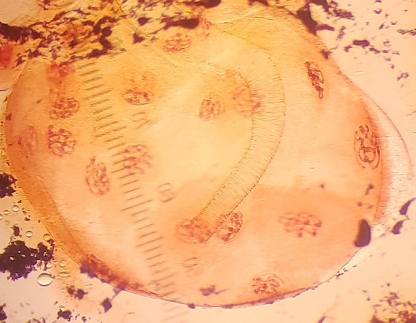 20190626_5
