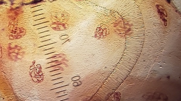 20190626_7