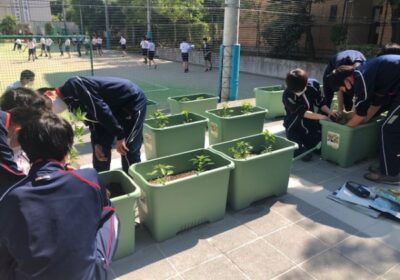 技術科「栽培」の体験授業風景です。実際に手を動かして、工夫して、仲間と一緒に挑戦です。