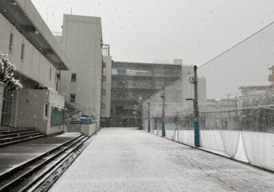 １月６日は本校も雪化粧しました