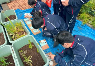 元肥の量をきちんと計測してから、土に混ぜておきます。