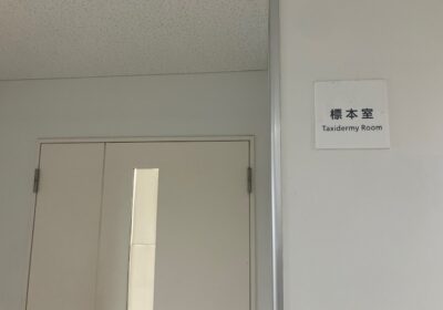 部屋の入り口です。日中は、理科助手の方が常駐しています。