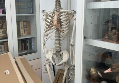 こういうのも保管されているんです。
