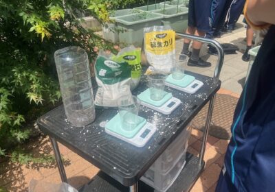 土の準備ができたら、肥料を計量して、土に混ぜていきます。