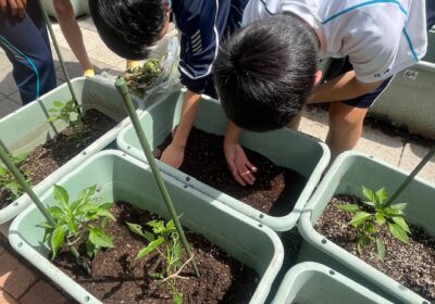 土も慣れてしまえば、素手で触ることも気になりません。