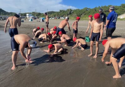 砂の中には、貝がたくさん潜っています。１０センチくらい掘ると、親指の爪ほどの大きさの貝が出てきます。