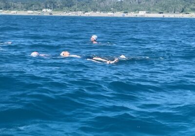 途中、疲れがたまってきたところで、仰向けになって、潮の流れに身を任せます。
