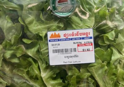 実は、ここで午前中に見学した企業の野菜が直売されているのです。