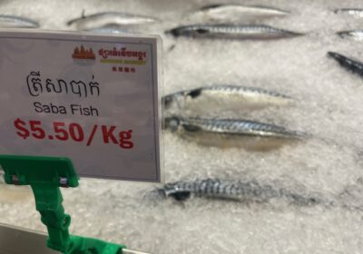 サバは、saba fishと言うんですね。
