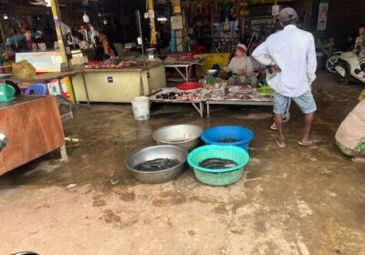 たらいに入っているのは、鮮魚ですね。ナマズのような魚が売られていました。