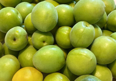 大きさはピンポン玉くらいのジューシー梅。梅仕事を始めましょう。