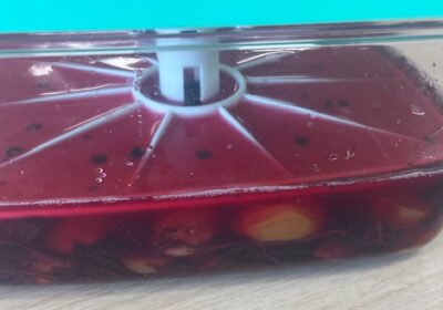 梅が染まってきました。