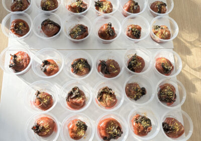 半年後、45個の立派な梅干し。