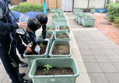 雨でも作業はしなければなりません。