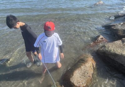 カニ、エビ、魚、様々な生き物を見つけました。