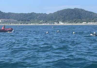 沖に出るまで潮の流れがきつく、時間がかかってしまいました。